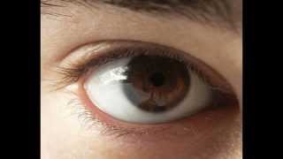 Identifying Demonically Possessed People; #Zesty;