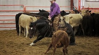 Rod Thiessen riding Chexboonsmal at Saskatchewan Equine Expo 2015
