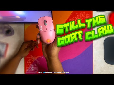 This Mouse Is Still AMAZING For Claw Grip! | Pulsar X2H Long Term Review