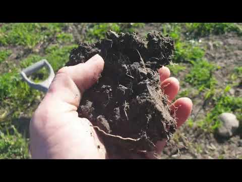 Calcium to Magnesium Ratios | 60 Second Lectures