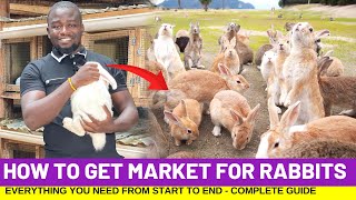 Rabbit Farming: How To Get Market For Rabbits