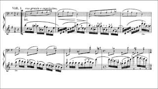 Duo no.1 for violin(Friedemann Eichhorn)+cello(Alexander Hülshoff) F. Schubert + F.Kummer