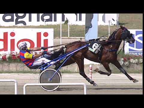 Napoli Trotto 08/09/2023 - 1ª corsa