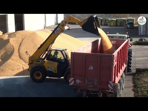 Mais dreschen mit John Deere, New Holland, Volvo, JCB - Corn Harvest - Multi Agrar Claußnitz