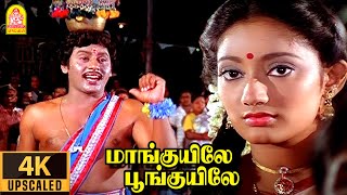 Download lagu Maanguyilae  4K Video Song மாங்குயிலே பூங்குயிலே  Karakattakkaran | Ramarajan | Kanaka | Ilaiyaraaja mp3