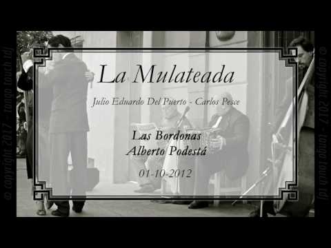 Sensual milongas tanda