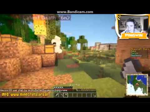 Mulit kocha Pingwina. Czyli piosenka Multiego.