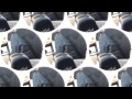 "Prima Era Prima" Video Fan
