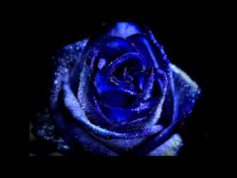 Imaginary Lover -- Atlanta Rhythm Section