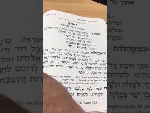 Chazan Nathan Gluck - Shacharis Yomim Noroim