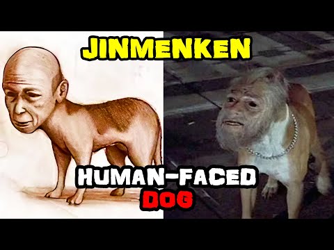 Jinmenken - The Terrifying "Human-Faced Dog" Yokai | Japanese Urban Legend