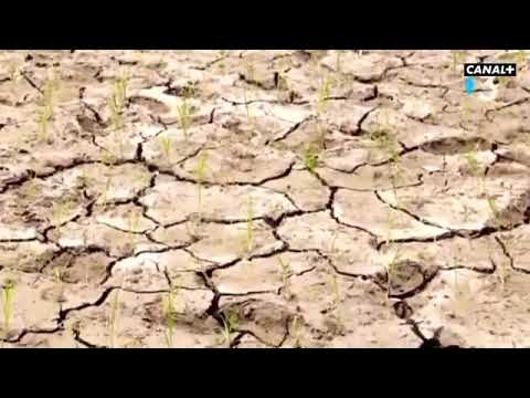 Extrait de l'infos de Groland [Sujet: "Les femmes fontaines"]