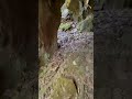 Cool spot in the Arkansas jungle near Hector