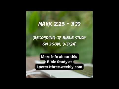 Mark 2:23 - 3:19 (Weekly Bible Study) #mark2 #mark3