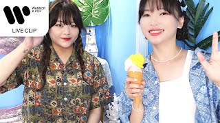 새벽공방 - Palm tree [Live Clip]