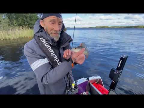 Veneily ja Ahvenen Jigikalastus Tuulisella Säällä - Kalapaikat - Ahvenen Kalastus