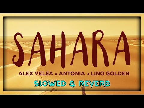 Alex Velea X Antonia X Lino Golden - Sahara (Daycore | Slowed & Reverb)