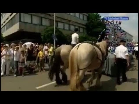 GLD Nieuws 8 juni 2008 - Nieuws