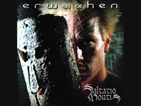 Falsche Freunde - Saltatio Mortis