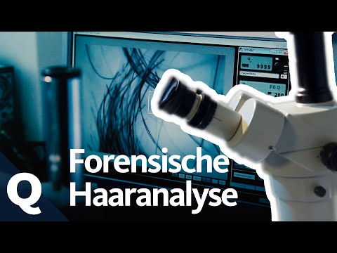 Hair as a storage medium – Crime lab analyses reveal this | Quarks