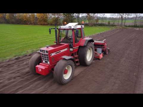 international 1455 XL in de najaarswerken/ LEMBEKE