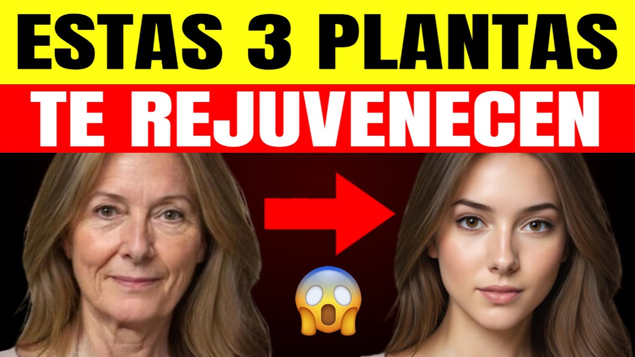 🥬3 PLANTAS de la Juventud que te dan COLÁGENO y FAVORECEN tu PIEL