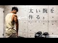 【筋トレ】太い腕を作りたい【Vlog】【減量】