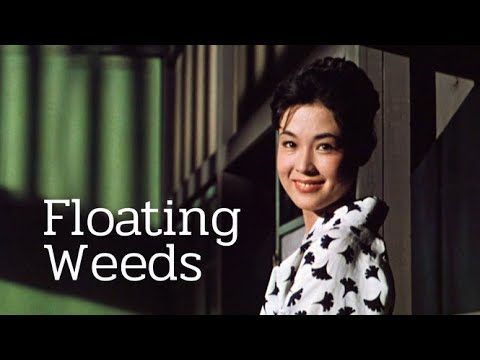 1959 Ervas Flutuantes 