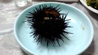 preview picture of video 'Korean Style 2012 (Day 11: September 13, 2012) - Sea Urchins at a Sokcho Sashimi Restaurant'