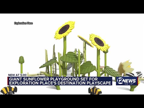 Rotary Club of Wichita to sponsor 'Sunflower Meadow' at Exploration Place
