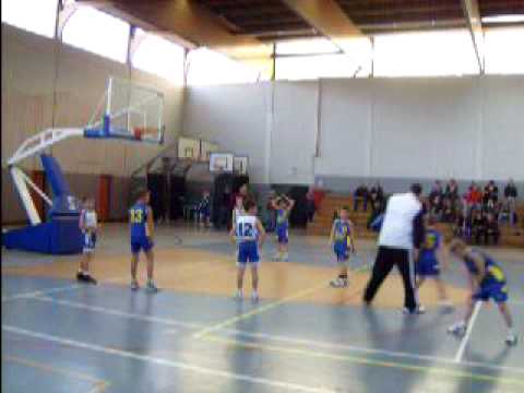 LES POUSSINS A BLATON