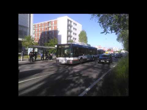 3081 STCP - 901 VALADARES ESCOLAS