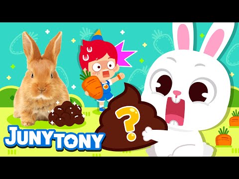 , title : '🐰 Rabbits Eat Their Poo | Hippity-Hoppity! The Year of the Rabbit | Animal Songs for Kids | JunyTony'