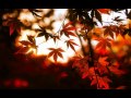 Autumn's Grey Solace - Eternal Light (shoegaze ...
