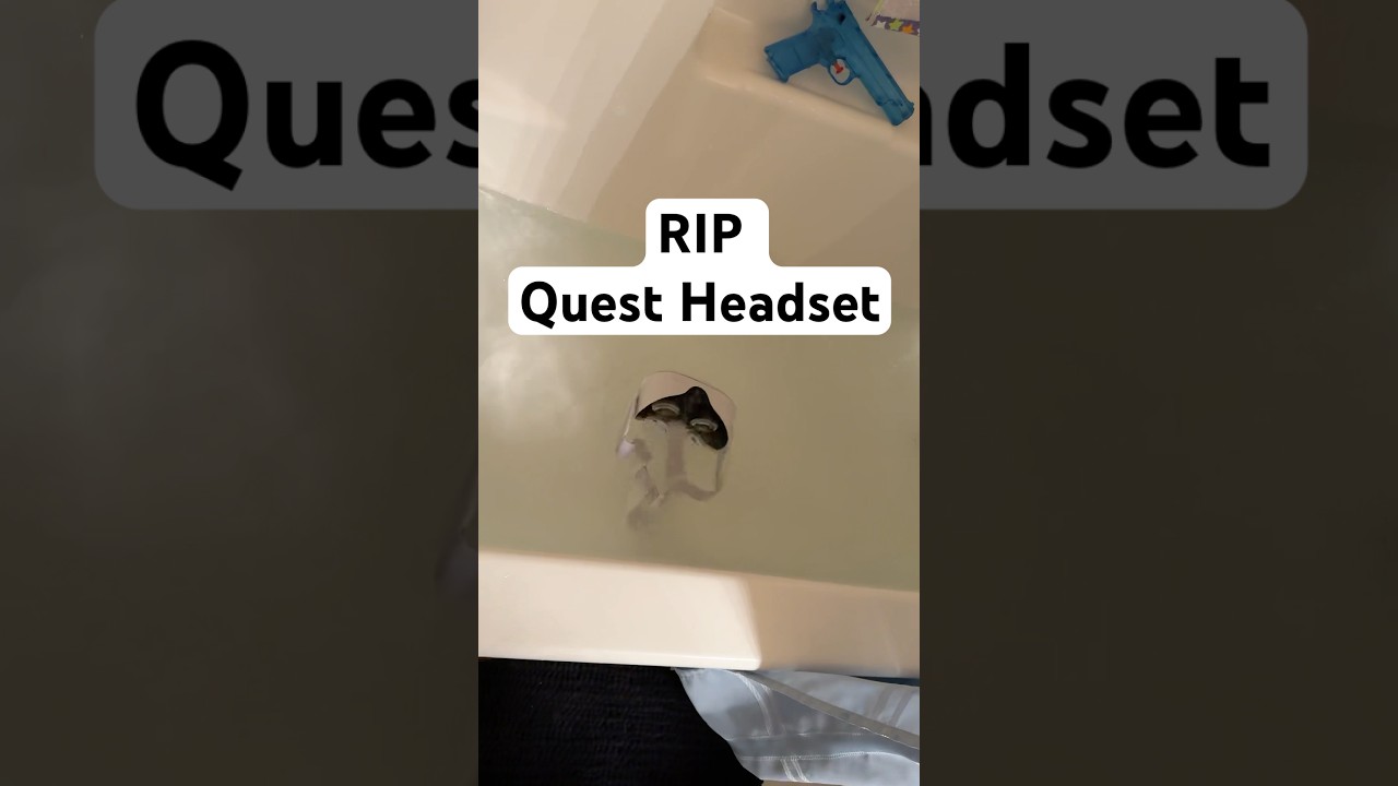 RIP Meta Quest.. 😭☠️ #animalcompany #gorillatag #gtag #animalcompanyvr