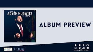 Album Preview: Aryeh Hurwitz - Mezinke | אריה לייב הורוויץ – מיזינקע