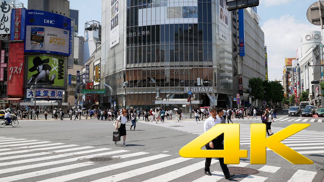 Shibuya Crossing Madness