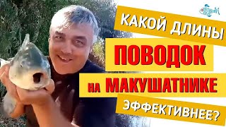 Какой длины поводок на донку