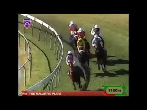 Zulu feat Mario Ramsamy  La metisse