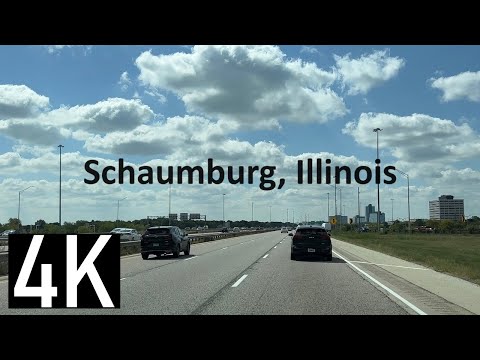 Shamburg Dmv