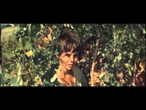 Бесстрашный атаман