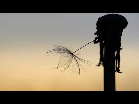 Sayonara - Ich kann nicht mit und nicht ohne Dich (Audio) | Trauriger Deutschrap