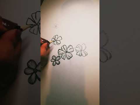 Sketching a beautiful flowers