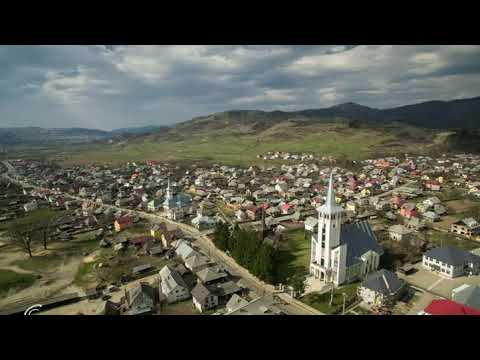 Bogdan Voda (MM)- Fals la impozite si taxe