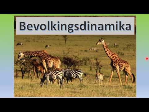 LEWENSWETENSKAP GRAAD 11: 25 Junie 2020 - periode 7 (25117)