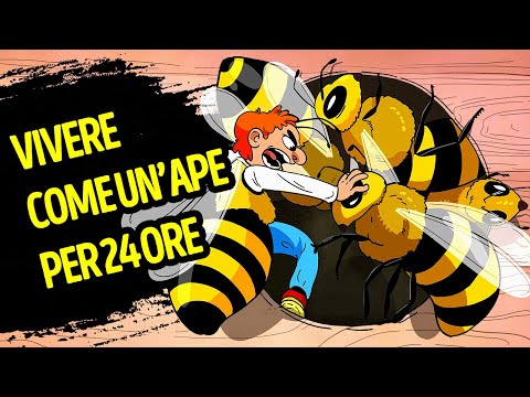 Come Sarebbe Vivere Come Un’Ape Per 24 Ore
