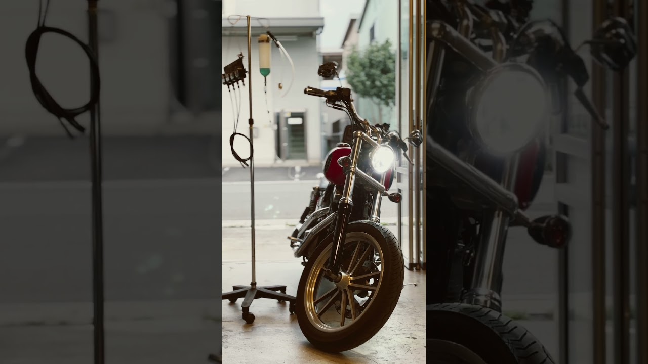 DETOX Harley-Davidson FXDL #harleydavidson #custom #detox