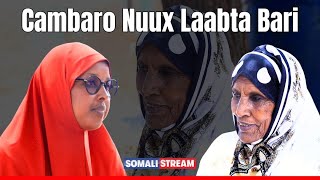 Canbaro Nuux (Laanta Bari): Muuqdheertii Quruxda iyo Maansada sida wayn ugu caan baxday