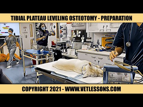 SPECIALIST TPLO - PREPARATION