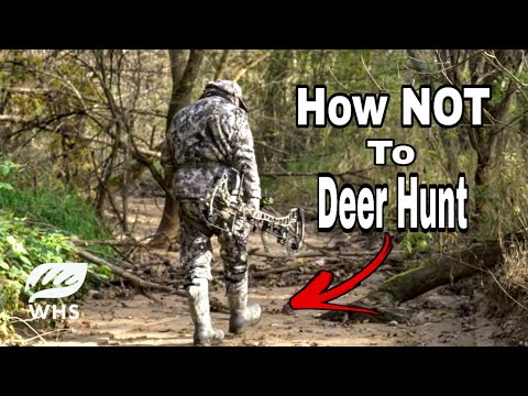 Top 10 Deer Hunting Mistakes